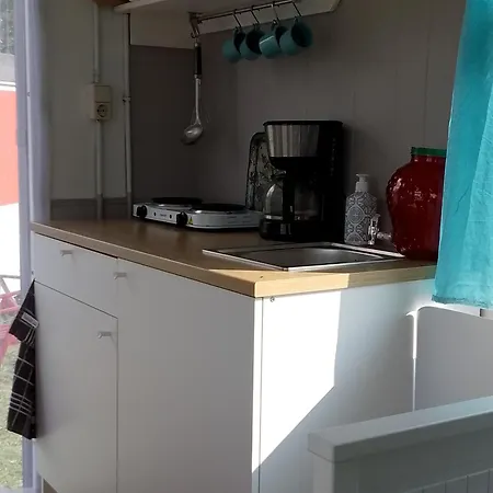 Leuke Wandel- En Fietslocatie Vlakbij Zutphen *
